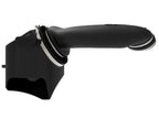 V8-6.7L Momentum HD Pro 10R Filter