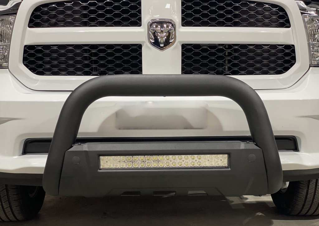Polished SS Nudge Bar with DBL Row Light Bar