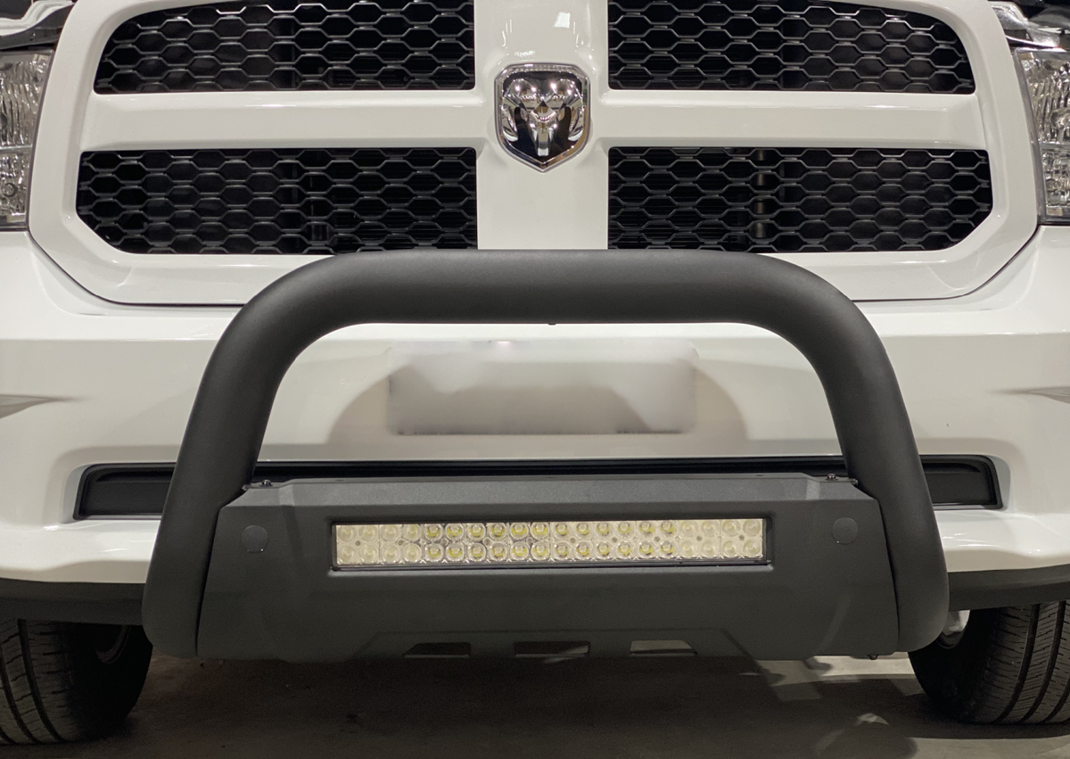 Polished SS Nudge Bar with DBL Row Light Bar